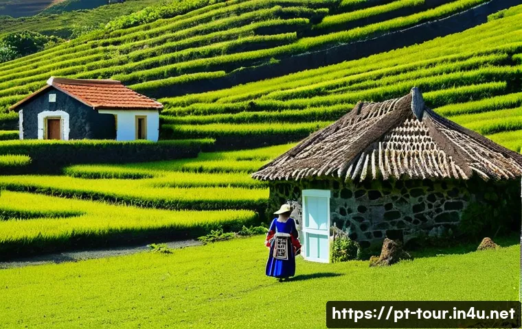 관광학과 사회학의 관계 관련 이미지 2